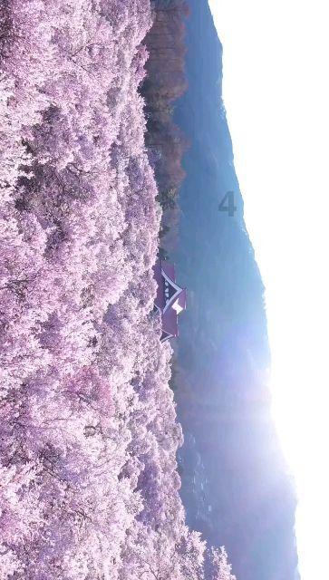 哈马斯从哪里获得武器?最新结论:来自以色列!